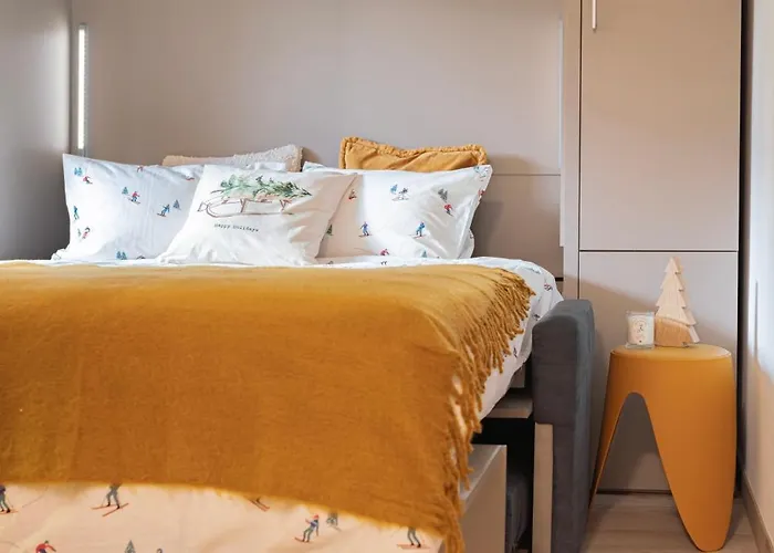 Avec Piscine Gratuite * 莫尔金斯